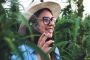 Marijuana Users May Face Twice the Risk of Stroke and Heart Disease