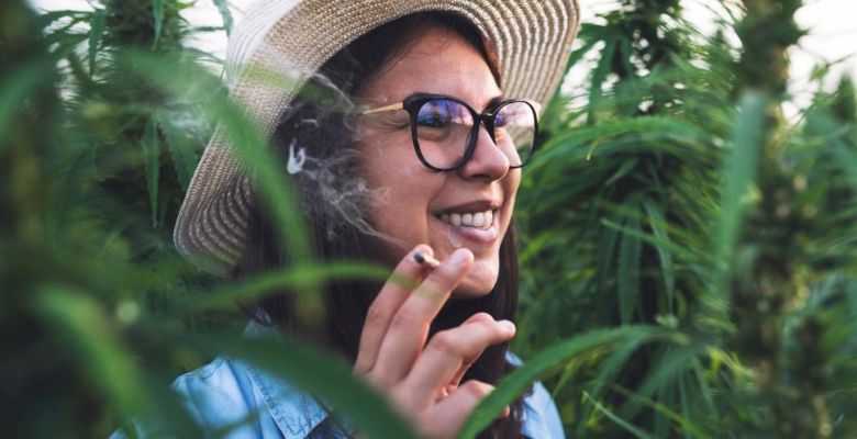 Marijuana Users May Face Twice the Risk of Stroke and Heart Disease