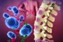 Lynozyfic: A New Hope in Blood Cancer Treatment