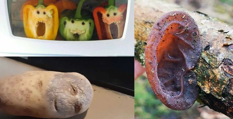 The Faces We Never Knew: Exploring the Mind’s Hidden Art Through Pareidolia