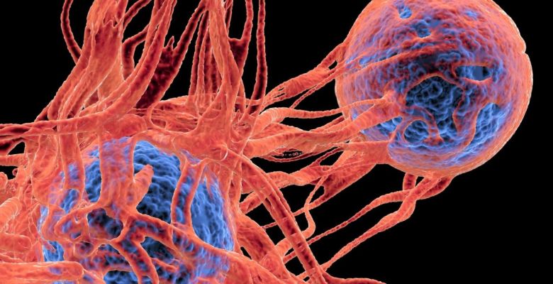 Can COVID-19 and Influenza Awaken Dormant Cancer Cells?